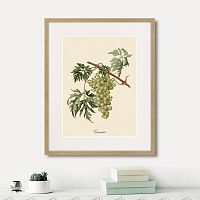 картина juicy fruit lithography №13, 1870 г., 42х52 см во Владимире