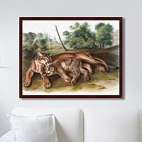 картина: the cougar, 1850г. во Владимире