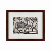 картина: a camel, 1670 во Владимире