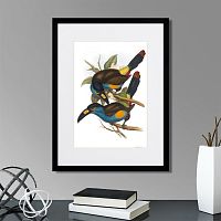 картина: toucans №4, 1849г. во Владимире