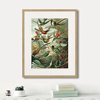картина: art forms of nature №1, 1897г. во Владимире