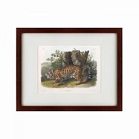 картина: jaguar, 1841 во Владимире