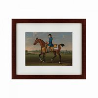 картина: bay racehorse with jockey up, 1730 во Владимире