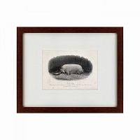 картина: a prize boar, 1867 во Владимире