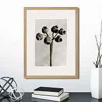 картина: botanical philosophy of forms №4, 1912г. во Владимире