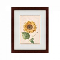 картина: watercolor over pencil etude №3, 1750 во Владимире