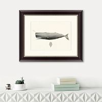 картина: sperm whale (physeter macrocephalus), 1862 во Владимире