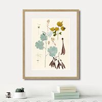 картина: fragmenta botanica №12, 1809г. во Владимире