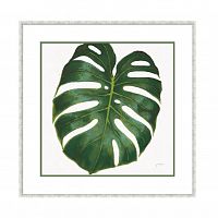 постер monstera зеленый во Владимире