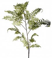 декор fl12056 (giant fern) во Владимире