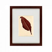 картина: the dark red leaf, 1881 во Владимире