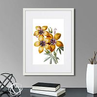 картина: caribian flora yellow hibiscus, 1740г. во Владимире
