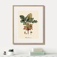 картина: juicy fruit lithography №8, 1870г. во Владимире