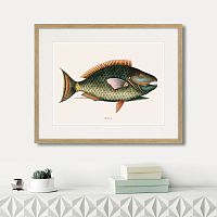 картина: marine life №5, 1725г. во Владимире