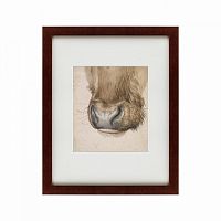 картина: muzzle of an ox seen from the front, 1527 во Владимире