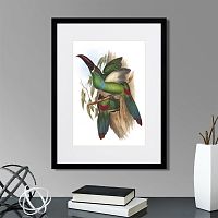 картина: toucans №5, 1849г. во Владимире