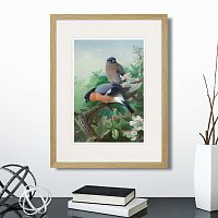 картина: bullfinches, 1915г. во Владимире