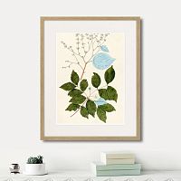 картина: fragmenta botanica №3, 1809г. во Владимире