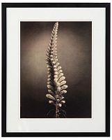 постер с паспарту в раме gentle sepia ver. 5 во Владимире