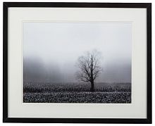 постер с паспарту в раме fog & tree во Владимире