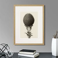 картина: botanical philosophy of forms №6, 1912г. во Владимире