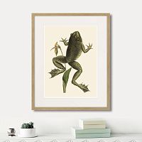 картина: big jumping frog, 1745г. во Владимире