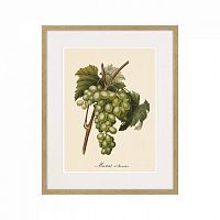 картина juicy fruit lithography №13-1, 1870 г., 42х52 см во Владимире