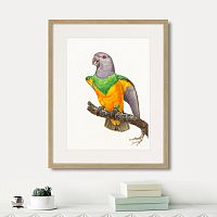 картина: beautiful parrots №8, 1872г. во Владимире