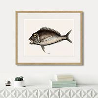 картина: marine life №7, 1725г. во Владимире