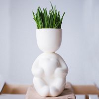 набор для выращивания eco романтик во Владимире