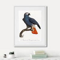 картина: beautiful parrots №5, 1872г. во Владимире