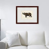 картина: rhinoceros ancienne gravure, 1849 во Владимире