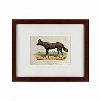 картина: a tortoise-shell hyena, or hye, 1830 во Владимире