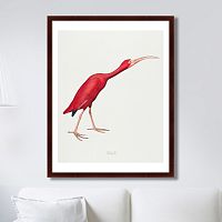 картина: scarlet ibis, 1827г. во Владимире