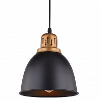 подвесной светильник arte lamp eurica a4245sp-1bk во Владимире