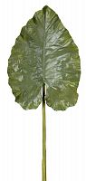 декор giant taro leaf во Владимире