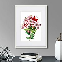 картина: caribian flora red and pink flower, 1740г. во Владимире