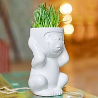 горшок для растений eco игнорик во Владимире