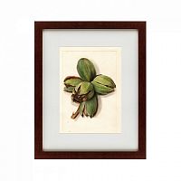 картина: watercolor collection, drawing №1, 1909 во Владимире
