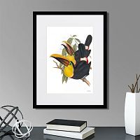 картина: toucans №1, 1849г. во Владимире
