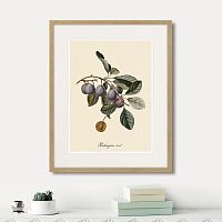 картина: juicy fruit lithography №5, 1870г. во Владимире