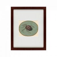 картина: spider, 1690 во Владимире