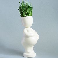 набор для выращивания eco мама во Владимире