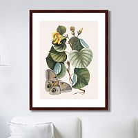 картина: beauty bloom №3, 1732г. во Владимире