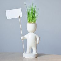 набор для выращивания eco знаменосец во Владимире