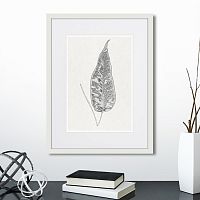 картина: the fern collection №5 во Владимире