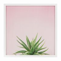 постер aloe разноцветный во Владимире