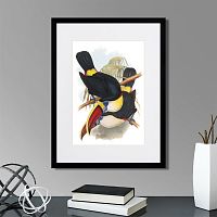 картина: toucans №2, 1849г. во Владимире