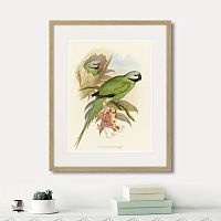 картина: love parrots ii, 1851г. во Владимире