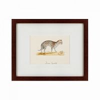 картина: an ocelot, 1801 во Владимире